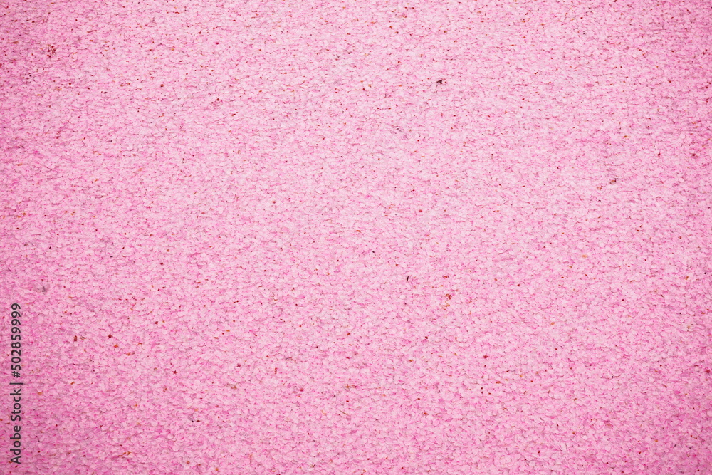 Pink Cherry Blossom Petal Carpet or Hanaikada on the Pond Moat of Hirosaki Castle in Aomori, Japan - 日本 青森 弘前城 お濠 桜の花 花筏 Pink Cherry Blossom Petal Carpet or Hanaikada on the Pond Moat of Hirosaki Castle in Aomori, Japan - 日本 青森 弘前城 お濠 桜の花 花筏