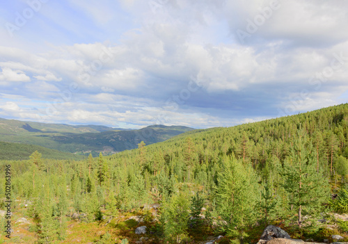View of a mountain valley in Norway. Sunny summer day, blue sky with clouds, green pine forest