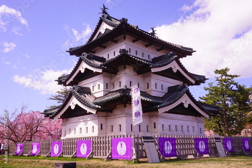 Hirosaki Castle surrounded by Pink Sakura or Cherry Blossom in Aomori, Japan - 日本 青森 弘前城 桜の花