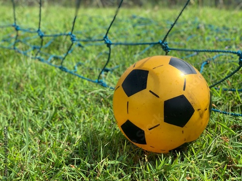 soccer ball on grass with blurred net on the background © Widyasto