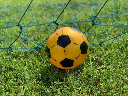 soccer ball in grass with blue net in the background © Widyasto