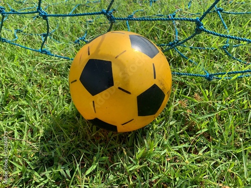 soccer ball on green grass © Widyasto