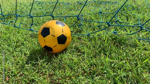 soccer ball on grass with net on the background © Widyasto
