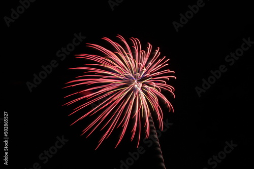Colorful Fireworks in the Night Sky