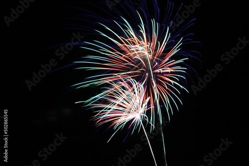 Colorful Fireworks in the Night Sky