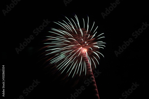 Colorful Fireworks in the Night Sky