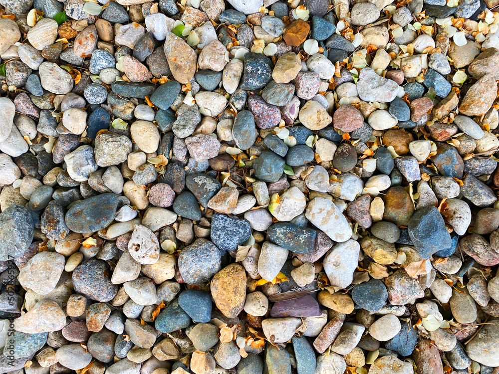 rocks gravel stone path nature stones rock walking pathway footpath garden groundcover decorative gardening landscaping rocks gravel stone path nature stones rock walking pathway footpath garden groundcover decorative gardening landscaping