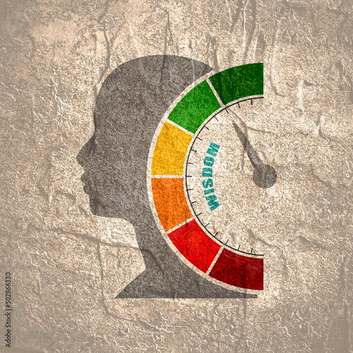 Wisdom measuring device icon. Human head silhouette photo