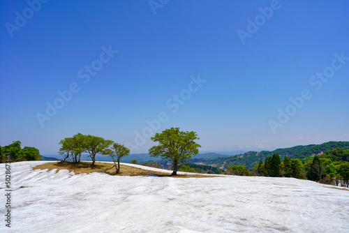 Fototapeta Naklejka Na Ścianę i Meble -  真夏日のような青空と新緑と残雪の山々