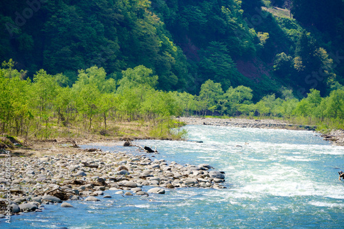新緑のブナと雪解け水が流れる雪国の川