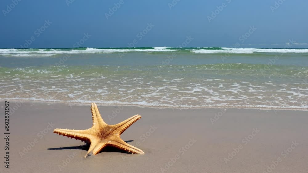 Starfish lying on the sea beach is washed by the waves Starfish lying on the sea beach is washed by the waves