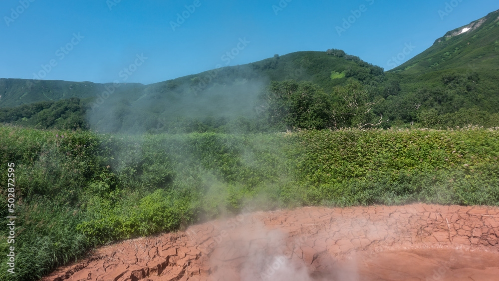 A fragment of a hot spring- a mud pot. Cracks on the clay edges. Steam over the water. There is lush green vegetation all around in the meadow. Mountains against the sky. Kamchatka. Valley of Geysers