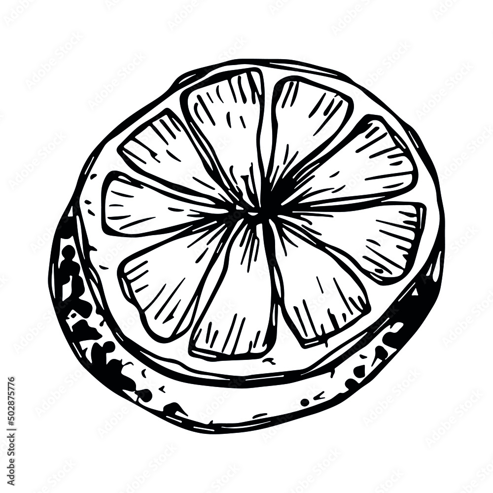 Vector lemon clipart. Hand drawn citrus icon. Fruit illustration. For print, web, design, decor, logo. Vector lemon clipart. Hand drawn citrus icon. Fruit illustration. For print, web, design, decor, logo.