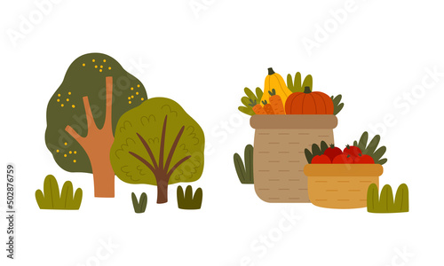 Ripe Vegetables in Basket and Orchard Tree as Seasonal Harvesting and Yield Vector Set