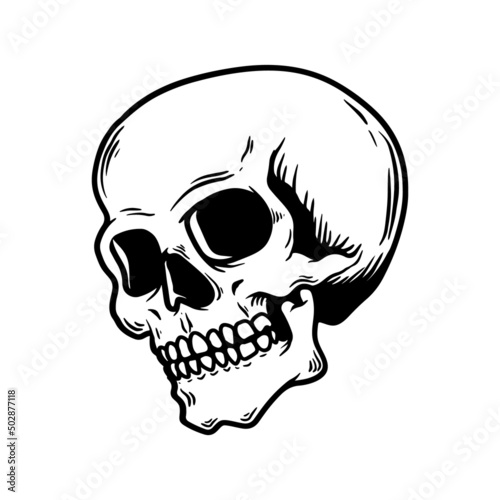Illustration of a skull. Design element for poster, card, banner, sign. Vector illustration