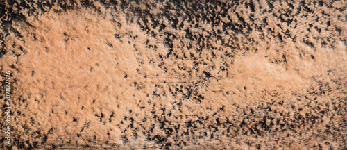 The texture of the surface of a brown and black concrete wall, uneven cement pattern with cracks on the background with space to copy, panoramic view