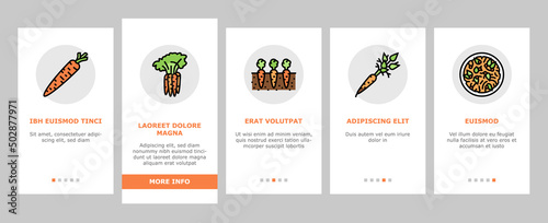 Carrot Vitamin Juicy Vegetable Onboarding Mobile App Page Screen Vector. Carrot Salad And Baked Pie Cake, Cooked Soup Dish And Healthy Juice Drink, Growing Plant In Garden And Harvesting Illustrations