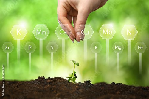 Woman watering green seedli...