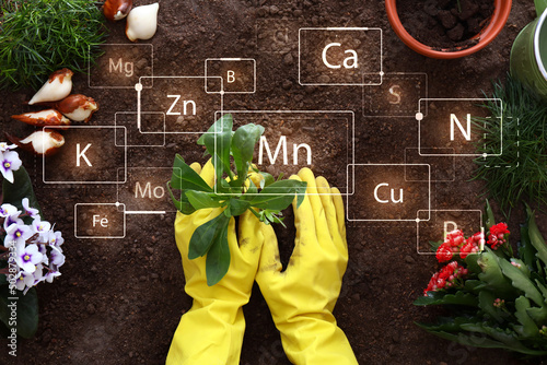 Woman working in garden on ...