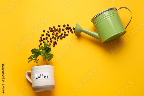 Composition with young coff...