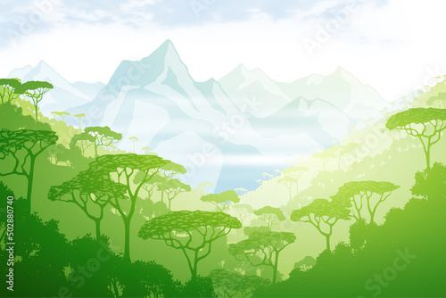 Rainforest, jungle against the backdrop of snow-capped mountains. View of southern nature, morning light.