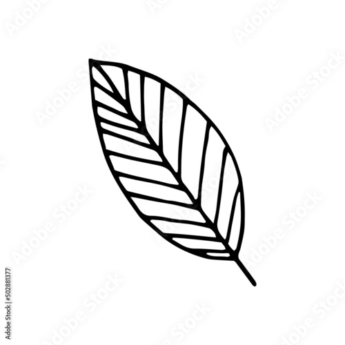 abstract leaf. vector illustration hand drawn in doodle style. scandinavian, minimalism. icon, sticker.