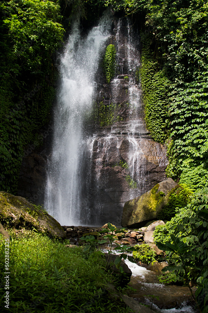 Fototapeta premium Amazing tropical cascade waterfall in wild green forest with powerful stream of water in sunbeams with water splashes and lush foliage on shore, vertical. Indonesian rainforest on Bali.