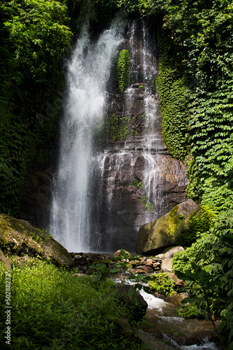 Amazing tropical cascade waterfall in wild green forest with powerful stream of water in sunbeams with water splashes and lush foliage on shore  vertical. Indonesian rainforest on Bali.