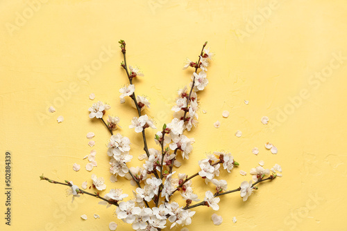 Delicate white apricot tree...