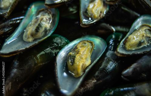 Fresh mussels for sale at Baan Na Kluea Seafood Market, Pattaya, Thailand.