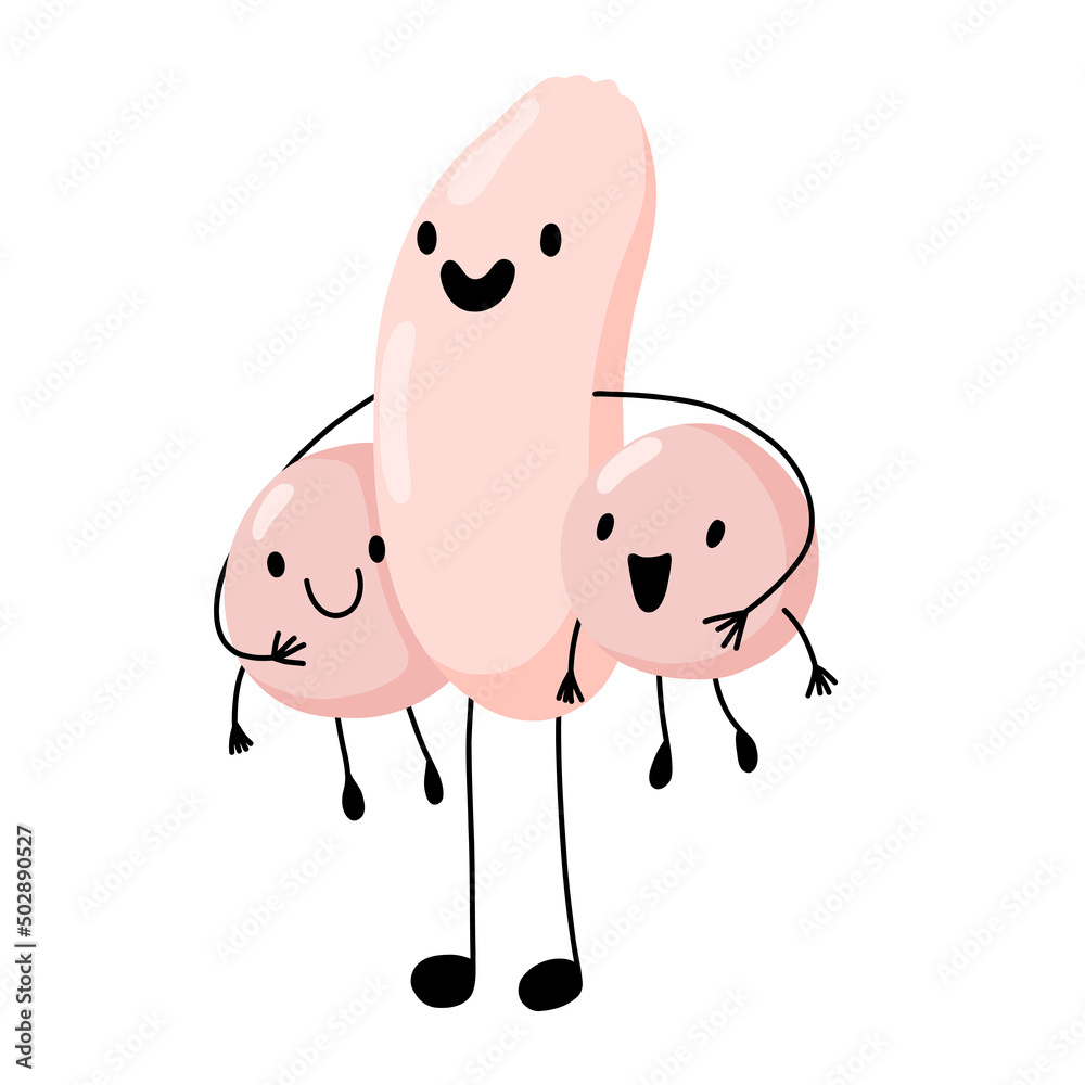 Penis character genitals reproduction erection in cartoon style