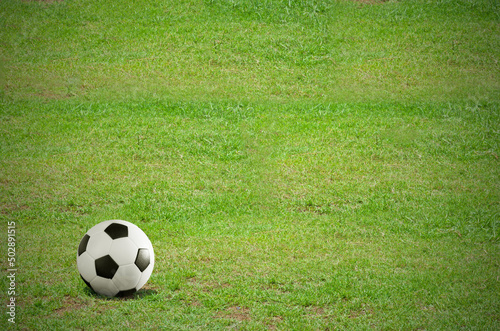football or soccer ball on green grass field .