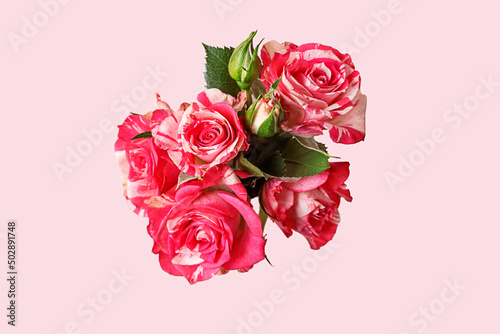 Bouquet of delicate pink roses on a pink background.