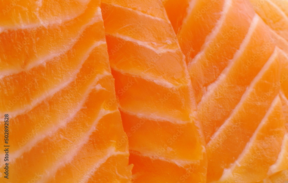 fresh salmon slide for background