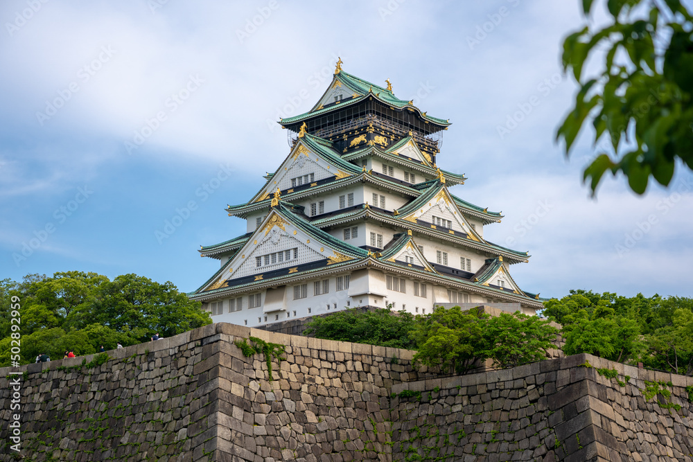 Fototapeta premium 大阪城