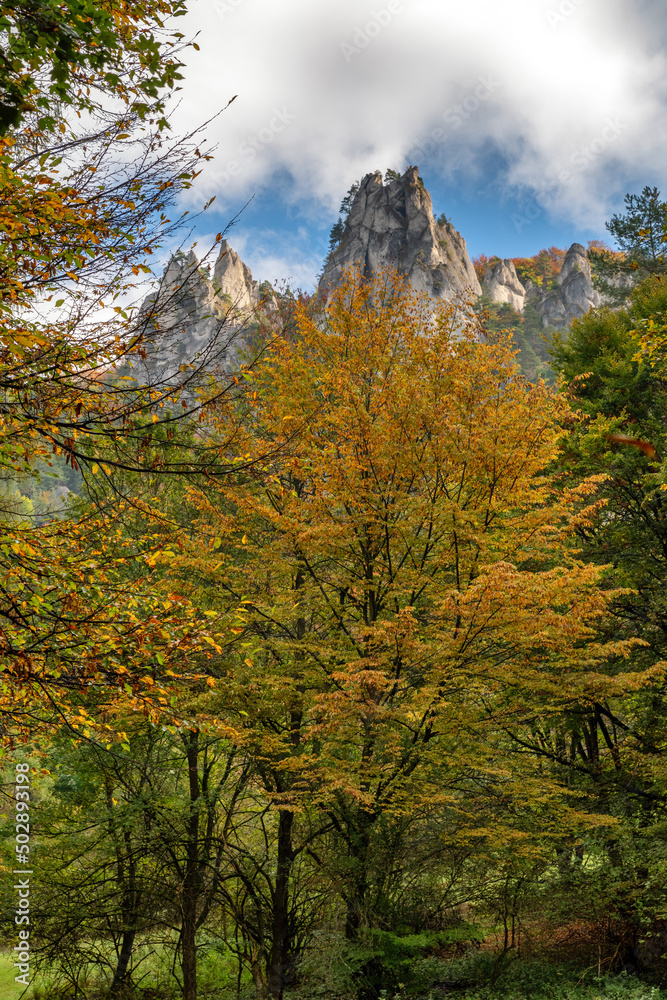 Colorful trees in autmn forest at Sulov rocks. Autumn mountain landscape in Slovakia