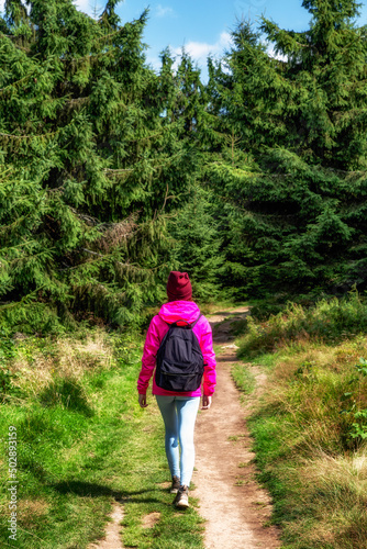 Girl with backpack walking on mountain trail in conifer forest photo