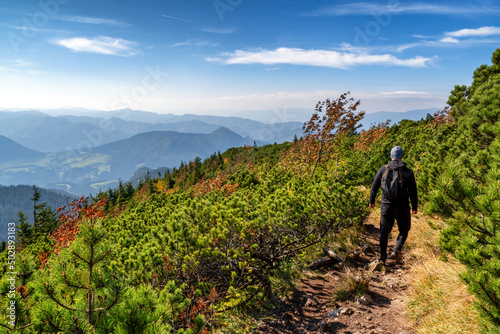 Hiker walking on mountain trail. Mountain pine and beautiful autumn hill landscape. Hiking theme