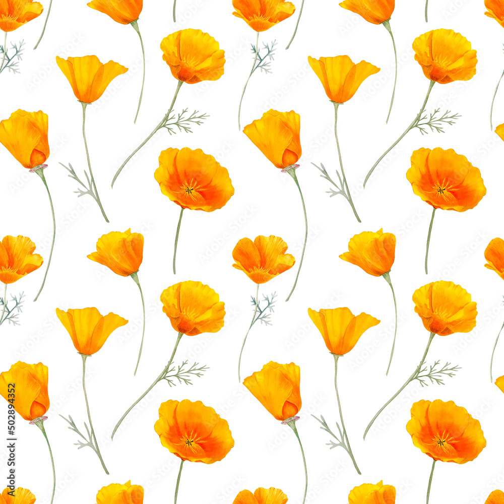 Watercolor california orange poppies isolated border. Hand painted ...