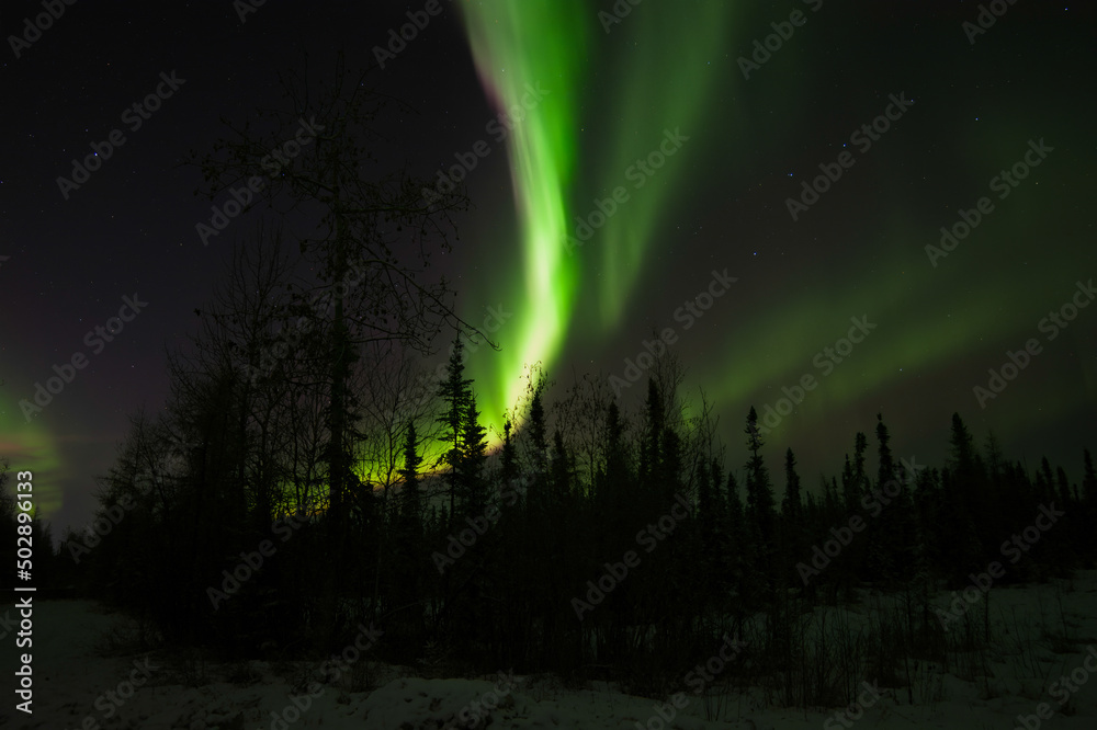 Northern lights silhouette in Alaska.