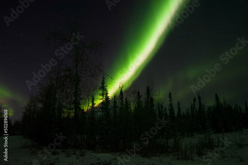 Northern lights silhouette in Alaska.