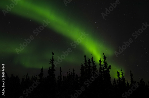 Northern lights silhouette.