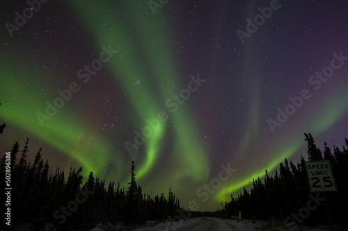 Northern lights silhouette. © Gnome