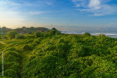 view of the ocean over greens