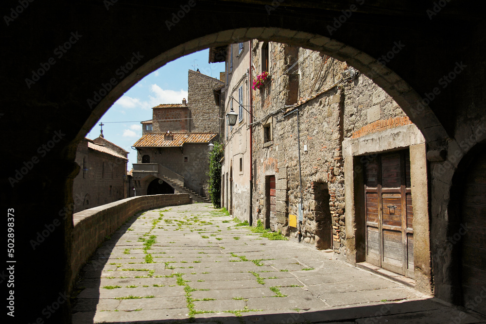 Viterbo, borgo, medievale, cittadino