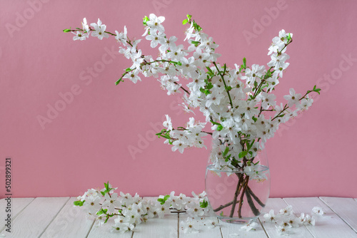 Bouquet of flowering plum tree branches in a glass vase on a pink background. Still life