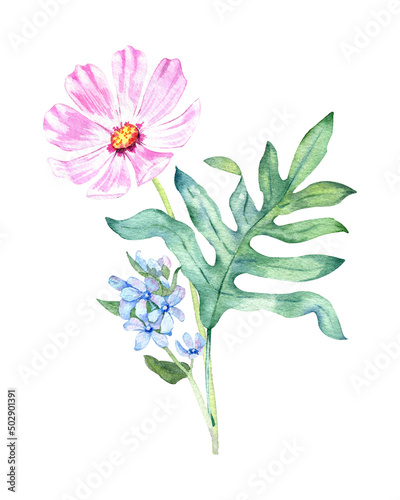 Pink and blue flowers watercolor bouquet. Cosmea and forget me not flowers with leaves isolated on white background. Hand drawn painting.
 photo