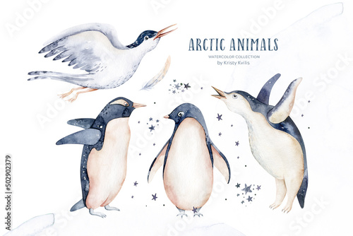 Beautiful watercolor illustration penguins, arctic tern. Hand drawn image of antarctic birds. Isolated objects on white background.