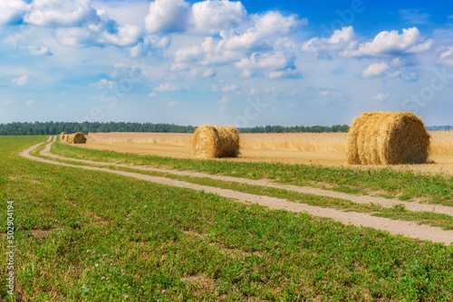 Straw bales in a field near a country road