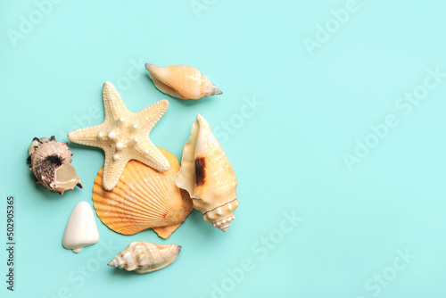 Summer holiday concept.Top view of sea shells and starfish with space for text